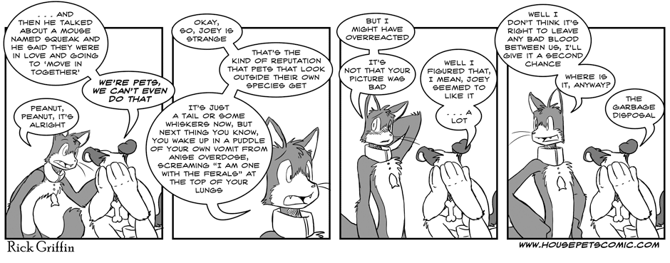 Click for full size. Anise Is Like Catnip But For Dogs