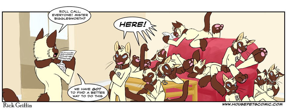 Click for full size. Yes All Of Them