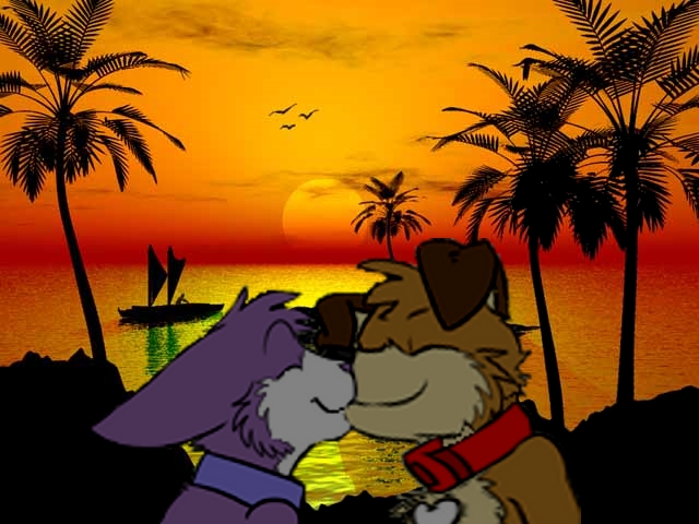 Sunset Kissing.jpeg