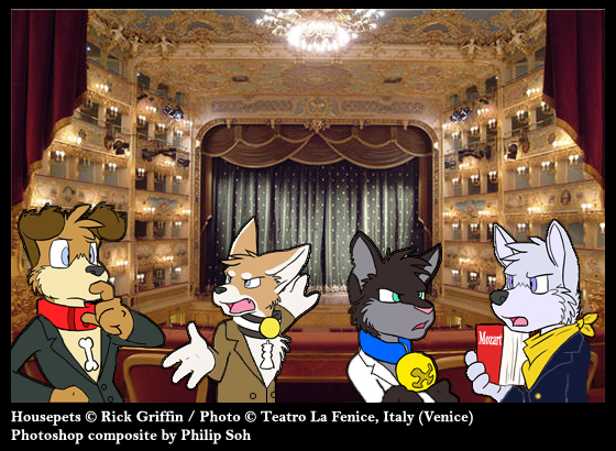 Housepets La fenice venice (Add Licence).jpg