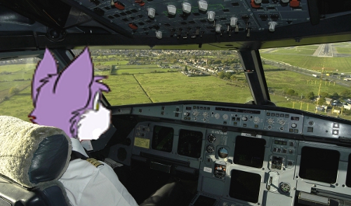 Captain Grape.jpeg