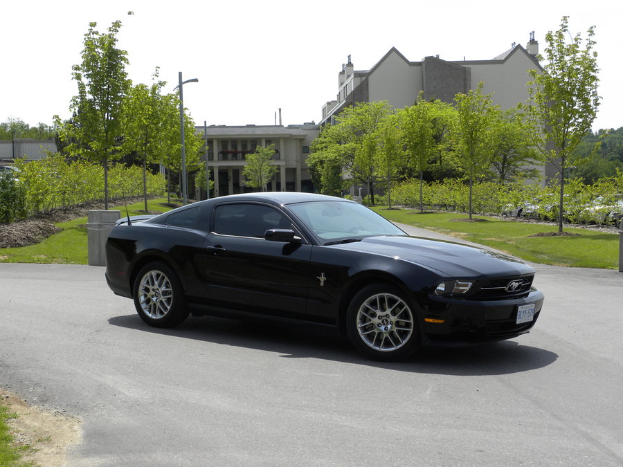 mustang_1_by_1boredcanadian-d49p4ah.jpg