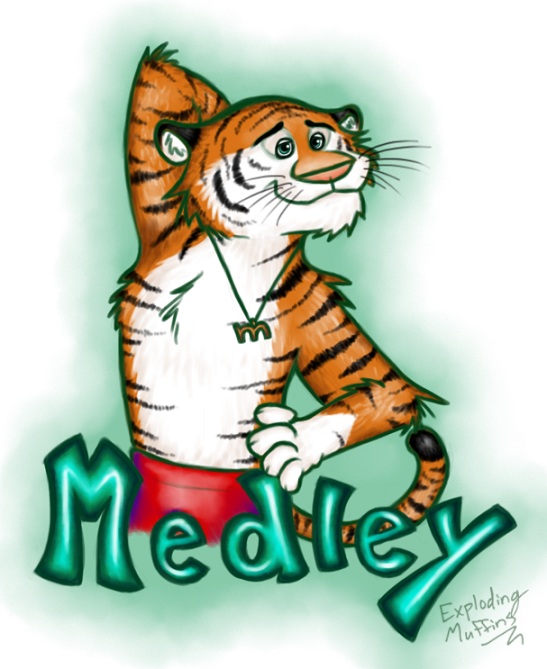 medleytiger2.jpg