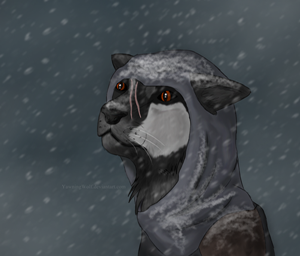 khajiit_in_a_snowstorm_by_yawningwolf-d4kml28.png