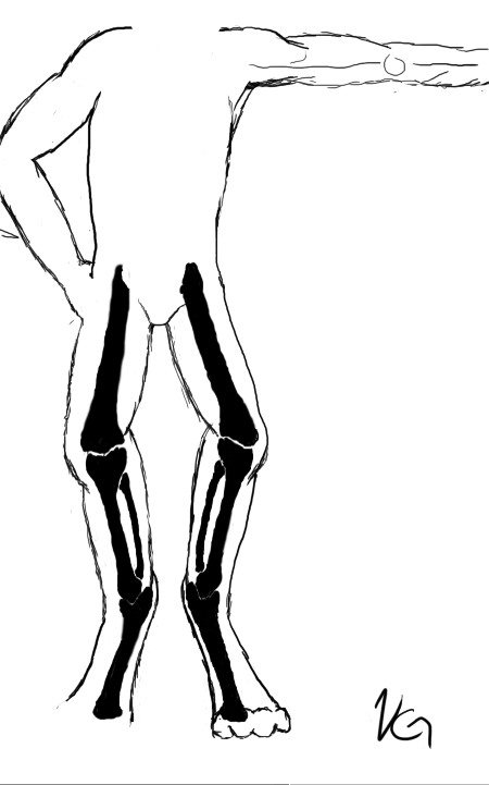 I decided to draw up the bone structure on his legs to see how they could work that way. its really basic, bear with me.