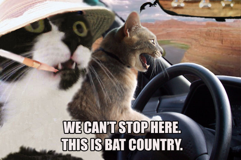 bat country.jpg