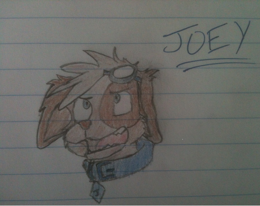 I wanted to draw something else to practice getting heads/shapes looking right, so i decided to draw Joey. It took me a while to draw and color his head approx 15-20 min.