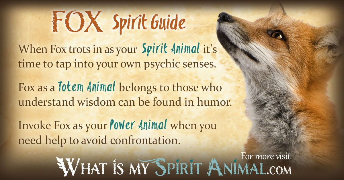 Fox-Spirit-Totem-Power-Animal-Symbolism-Meaning-1200x630.jpg