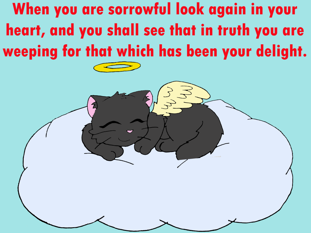 Picture 023.png