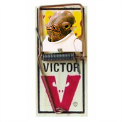 Ackbar trap.jpg