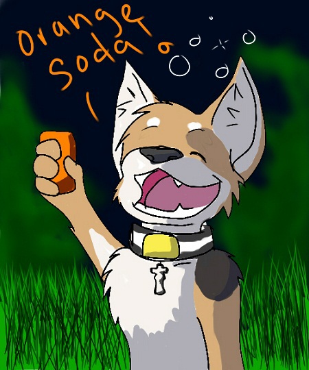 Orange Soda!.jpg