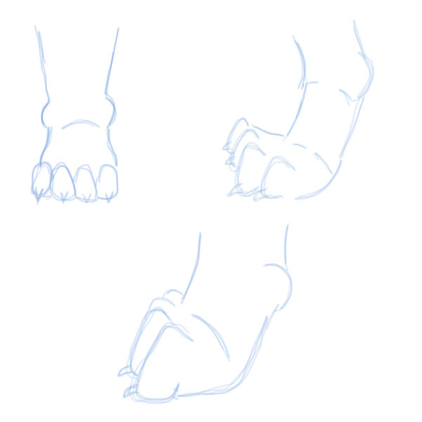 Footpaws.jpg