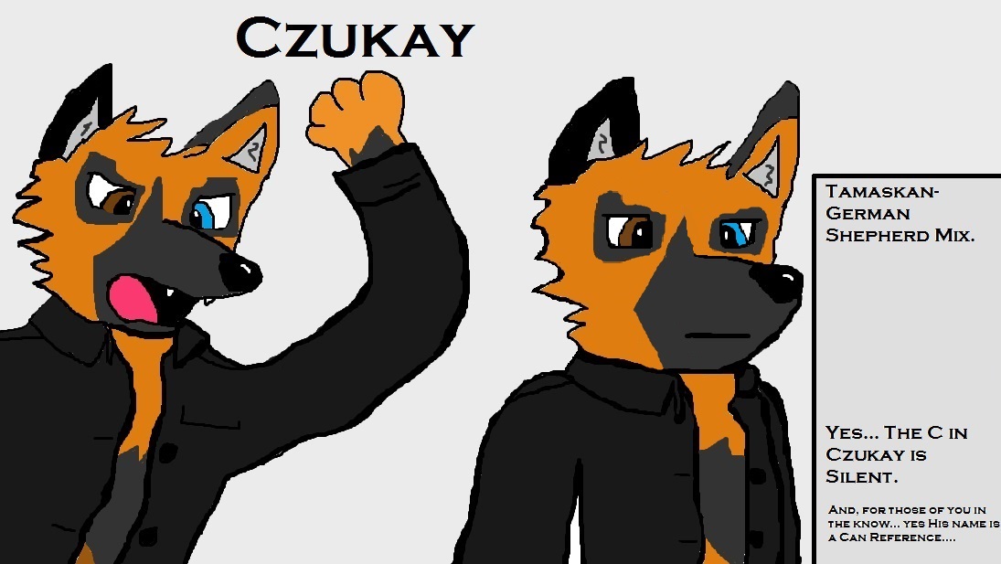 Czukay Ref Sheet.jpg