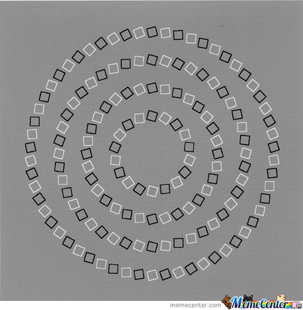 Can you see the four perfect circles.jpg