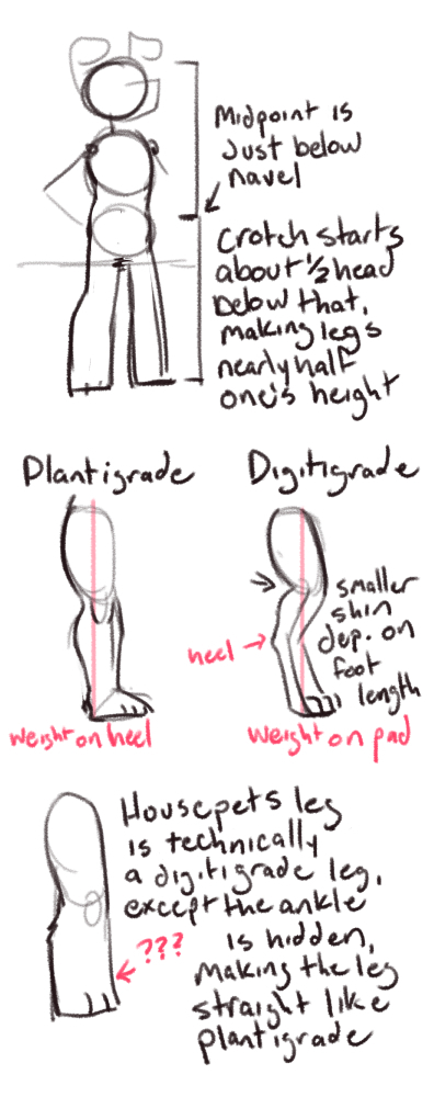 drawing_legs__definitely_not_exhaustive__by_rickgriffin_d9vsm3n-onlyhalf.jpg