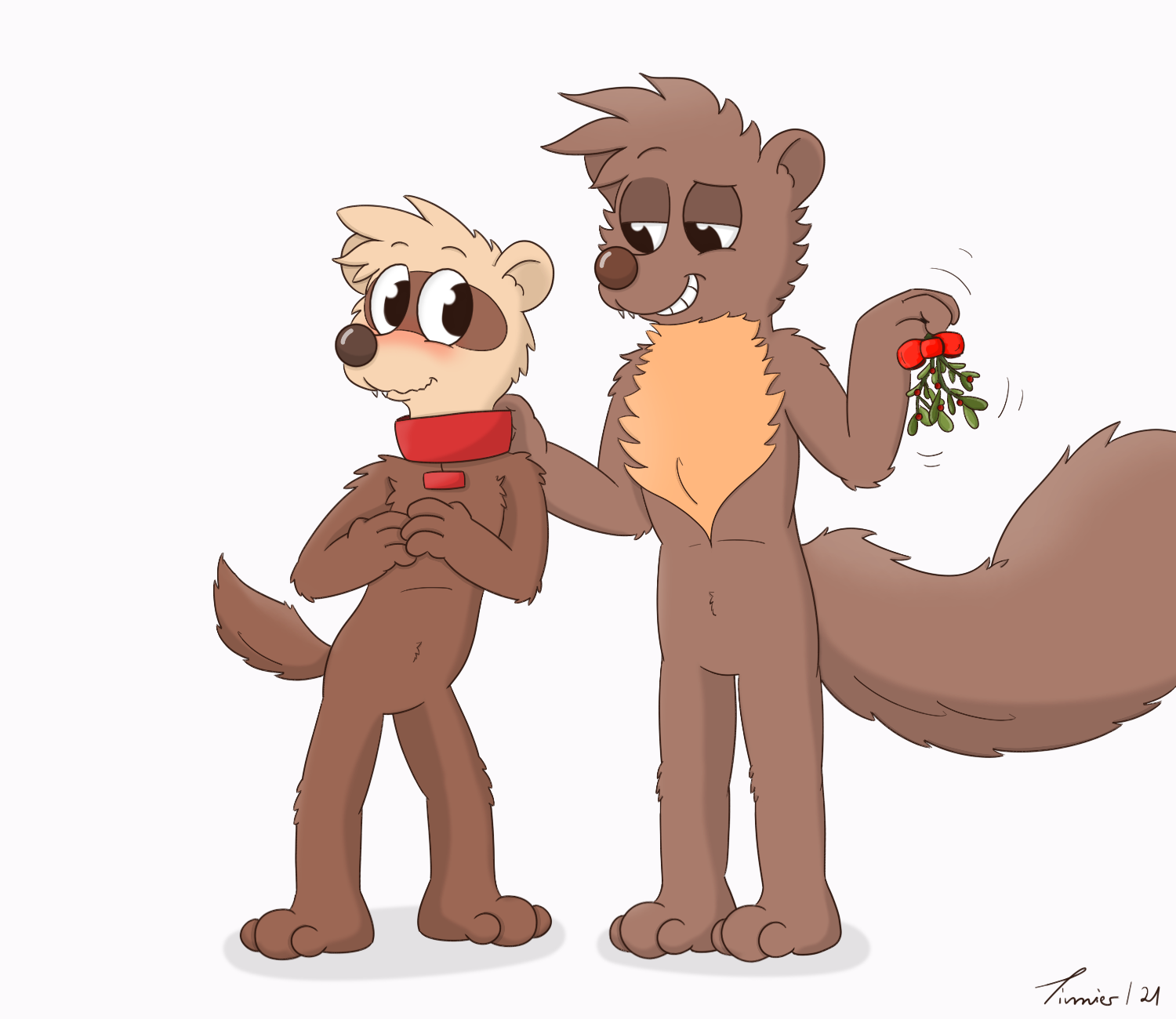 MISTLETOE_COLOR.png