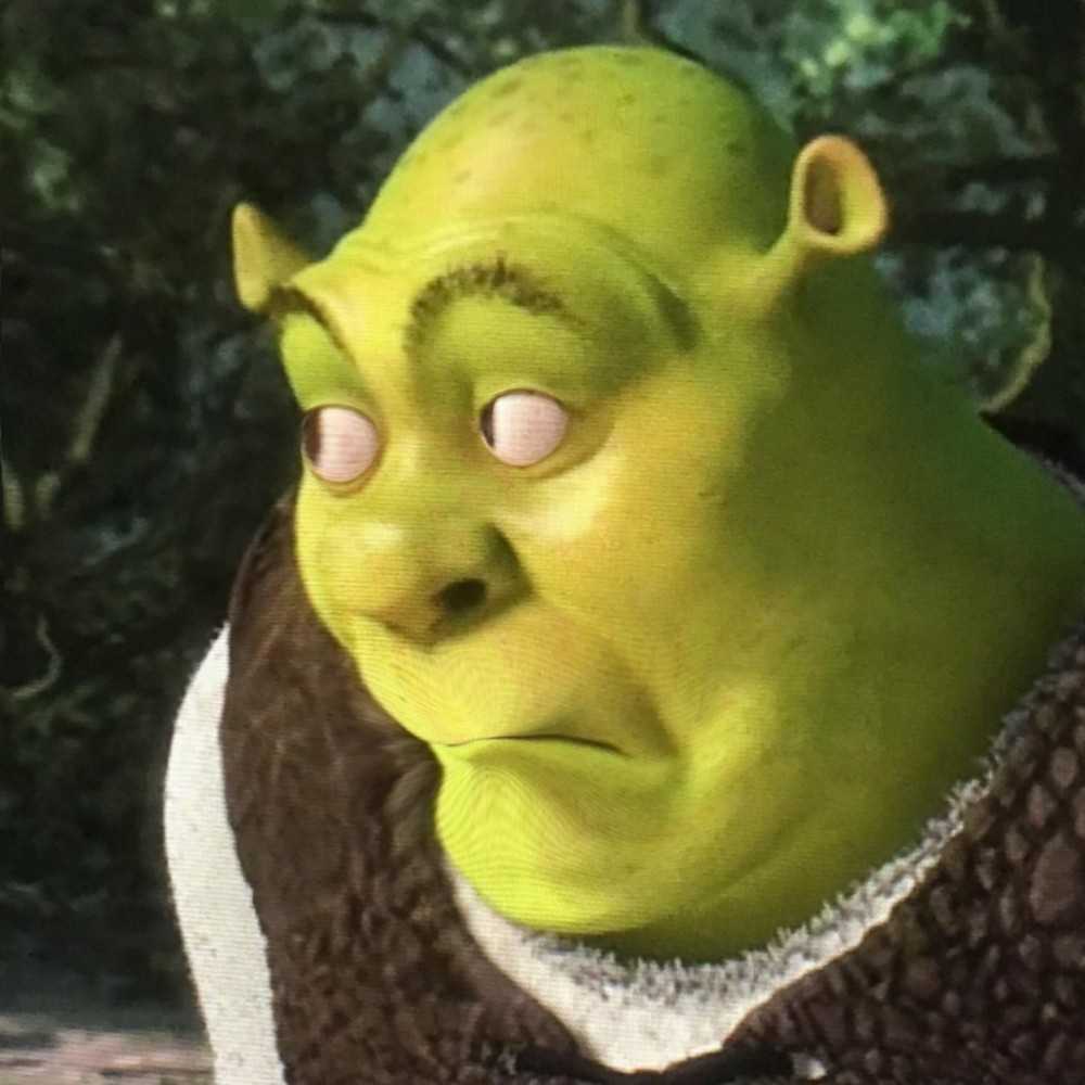 shrekmemeface.jpg